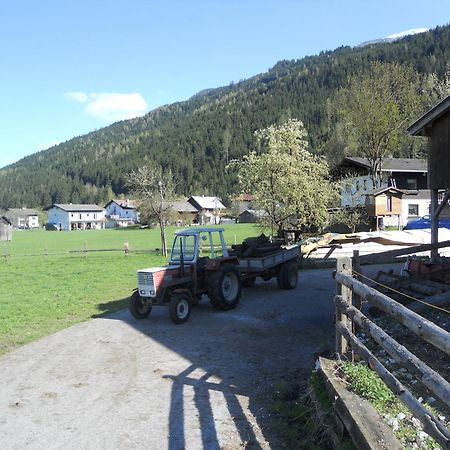 Ferienhaus Islitzer Hollersbach im Pinzgau Ngoại thất bức ảnh
